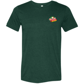 Repicci's Bella + Canvas Triblend Tshirt - 931 Graphics